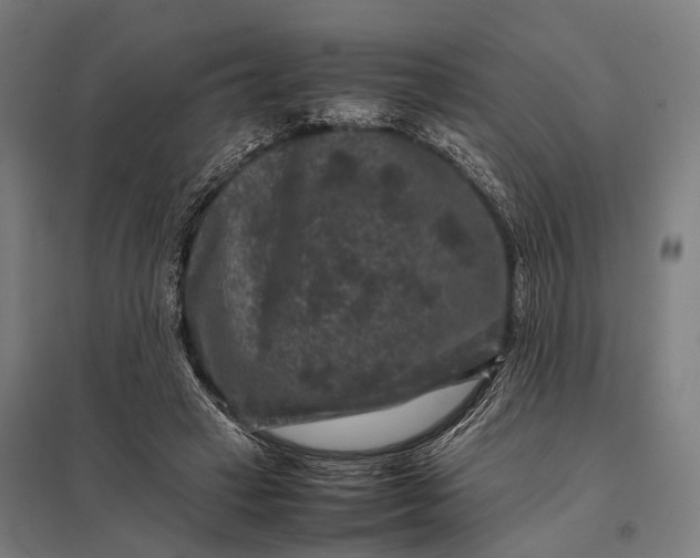 X0000097840449200803281228