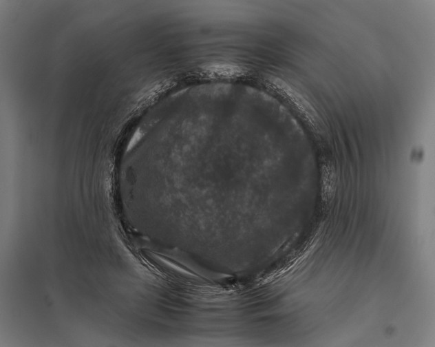 X0000097840451200803281228