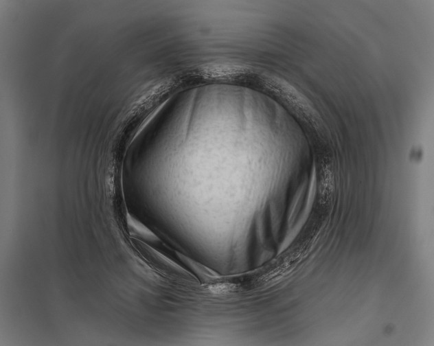 X0000097840452200803281228