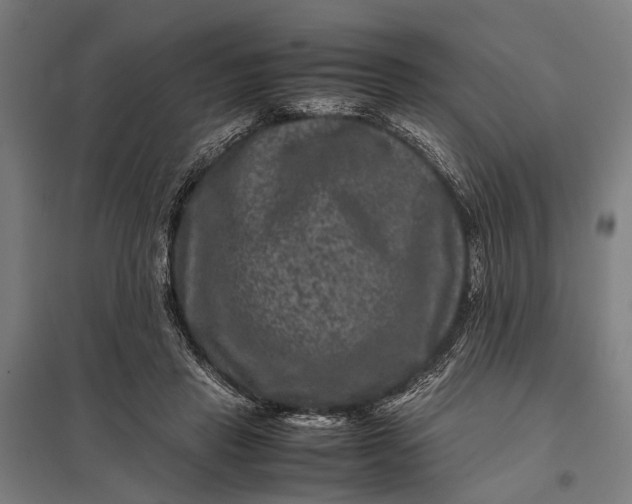 X0000097840453200803281228
