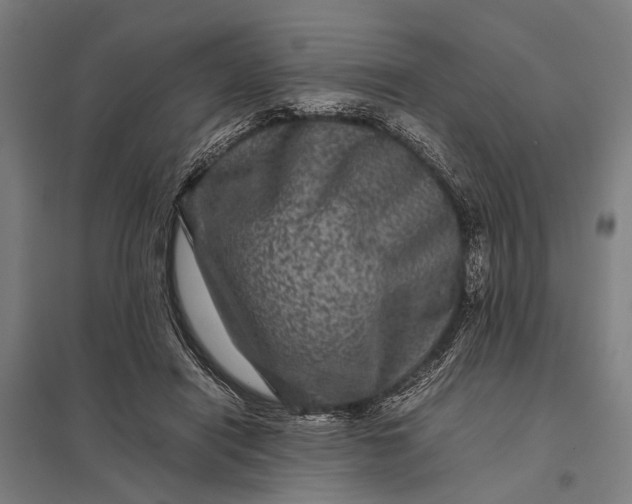 X0000097840454200803281228