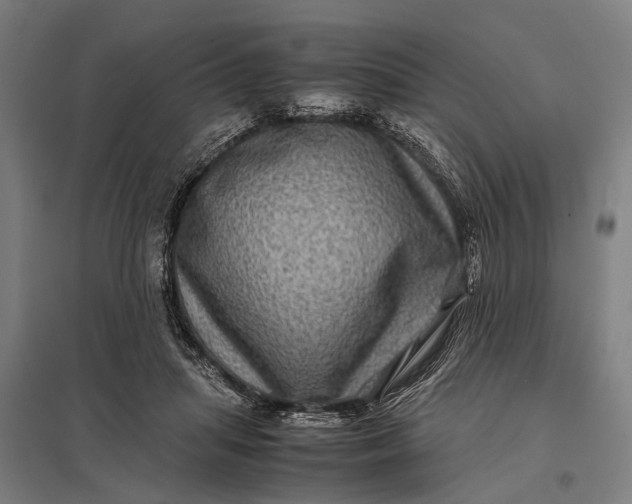 X0000097840455200803281228