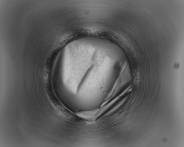 X0000097840456200803281228