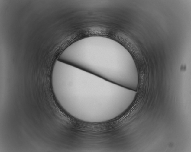 X0000097840457200803281228