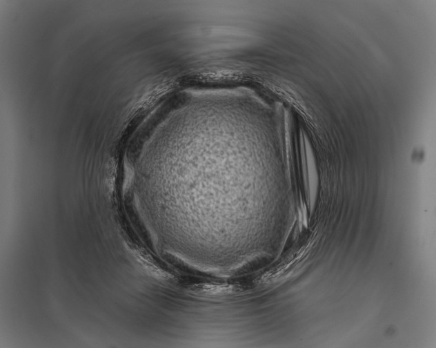 X0000097840458200803281228