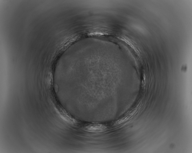 X0000097840459200803281228