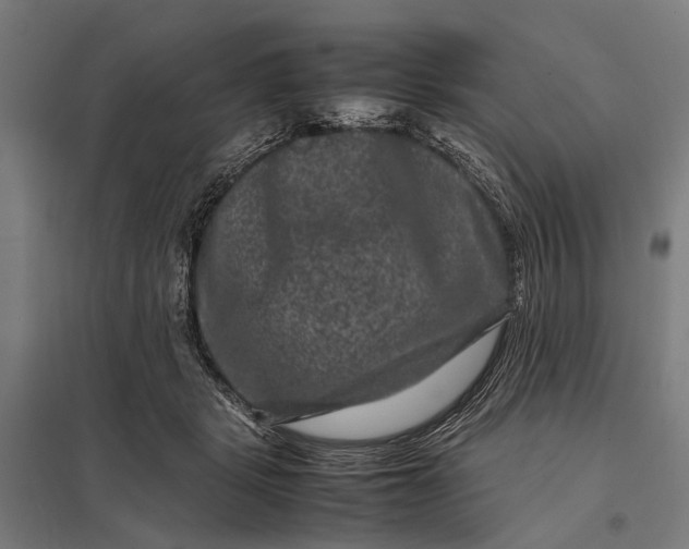 X0000097840461200803281228