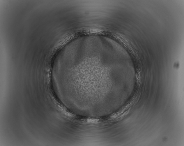 X0000097840462200803281228