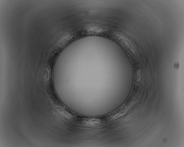 X0000097840463200803281228