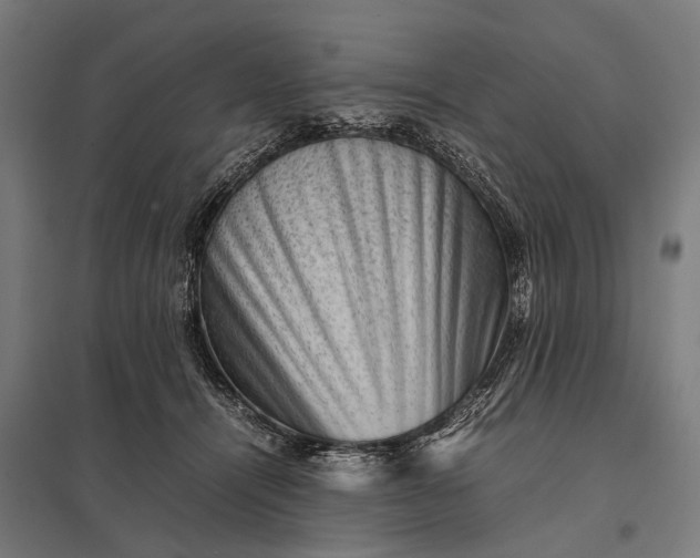 X0000097840464200803281228