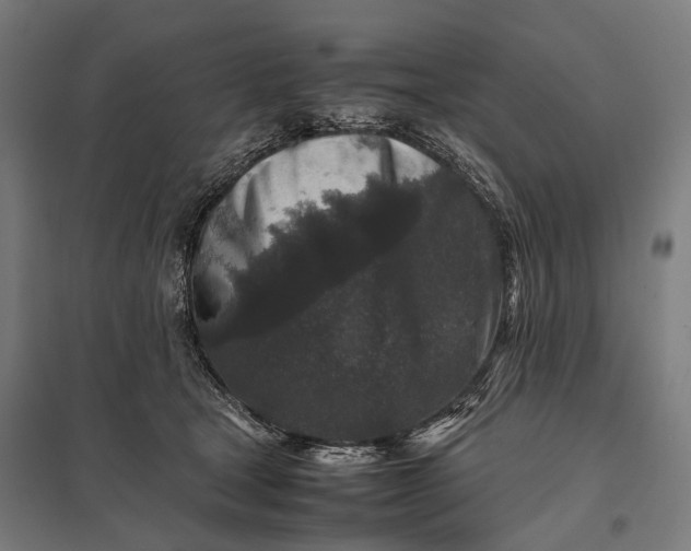 X0000097840465200803281228