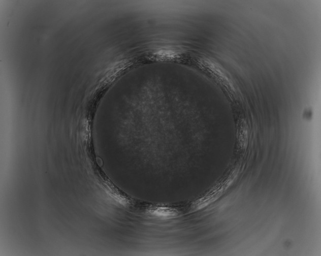 X0000097840467200803281228