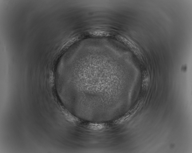 X0000097840469200803281228