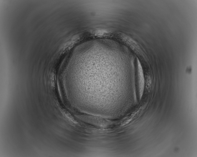X0000097840470200803281228