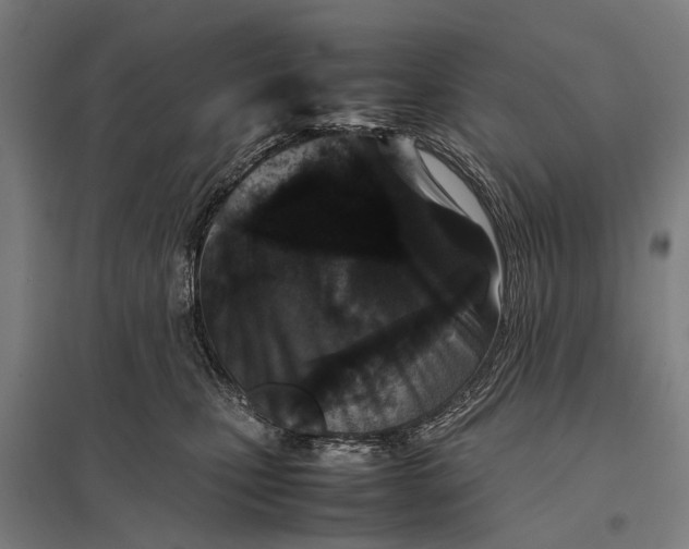 X0000097840471200803281228