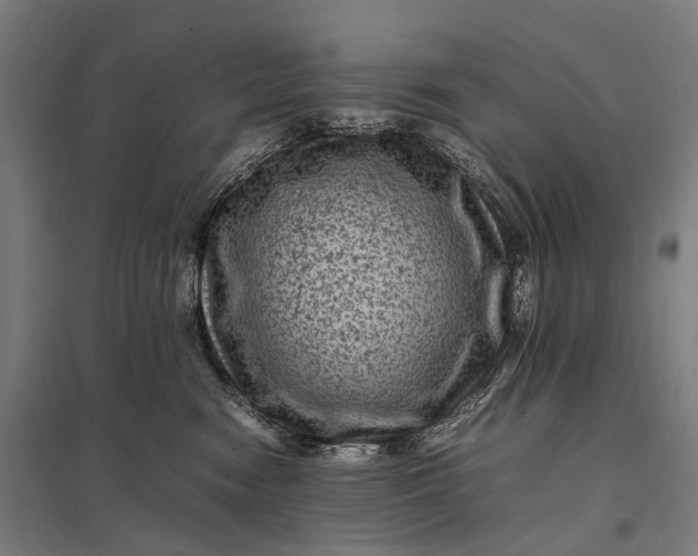 X0000097840474200803281228