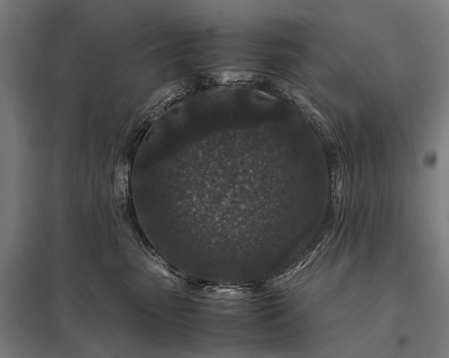 X0000097840475200803281228
