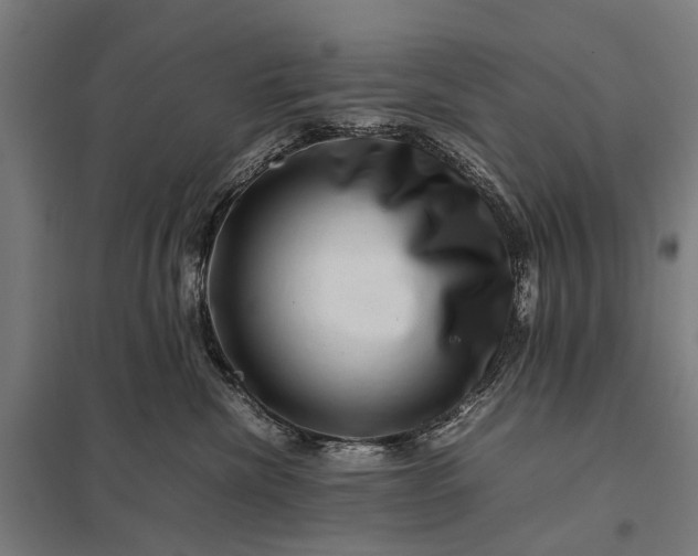 X0000097840476200803281228