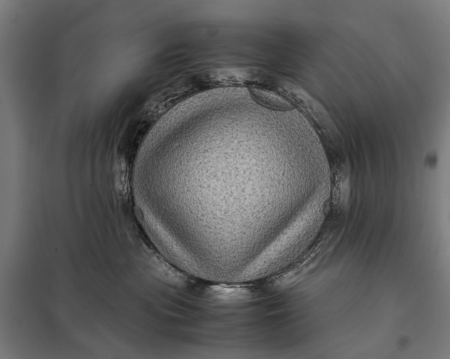 X0000097840477200803281228