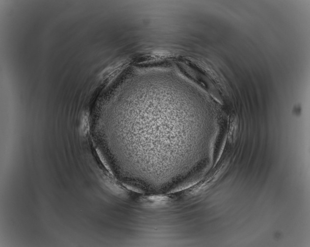 X0000097840478200803281228