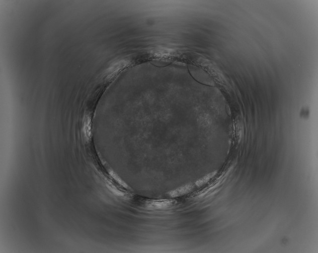 X0000097840479200803281228