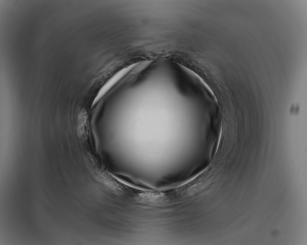 X0000097840480200803281228