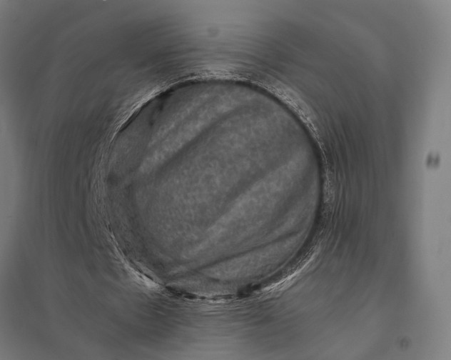 X0000097840481200803281227