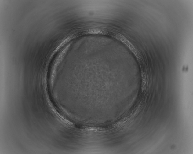 X0000097840482200803281227