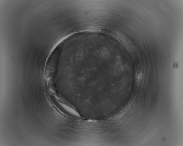 X0000097840484200803281227