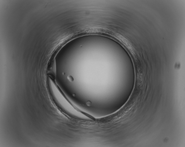 X0000097840485200803281227