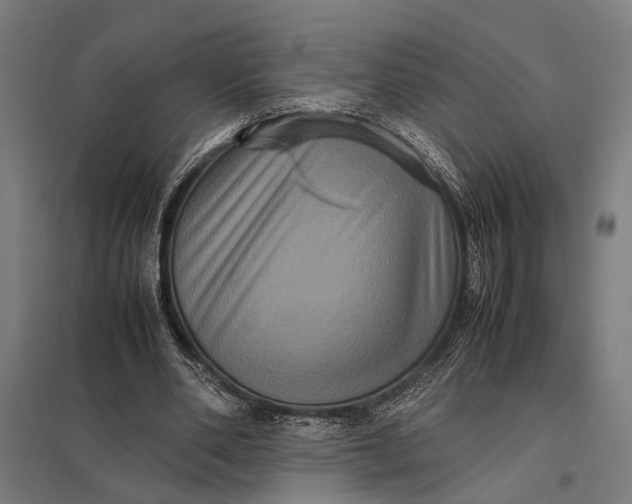X0000097840486200803281227