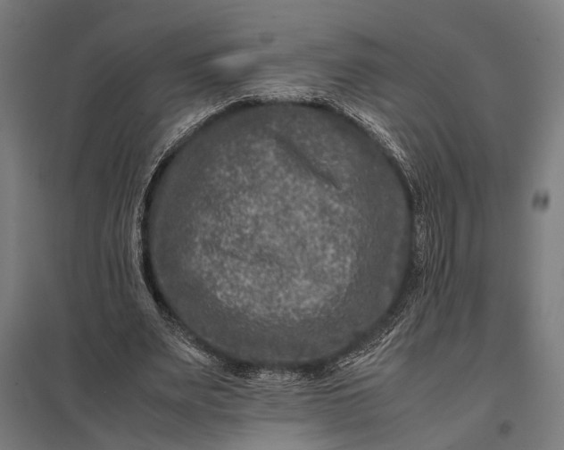 X0000097840487200803281227