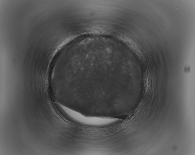 X0000097840488200803281227