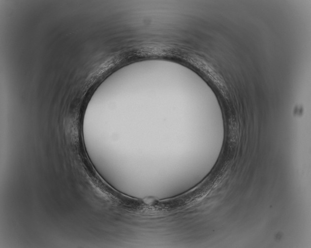 X0000097840489200803281227
