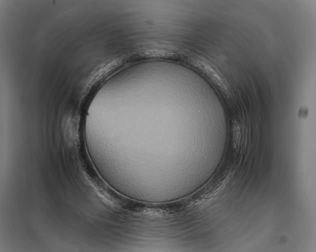 X0000097840490200803281227