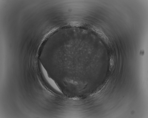X0000097840492200803281227