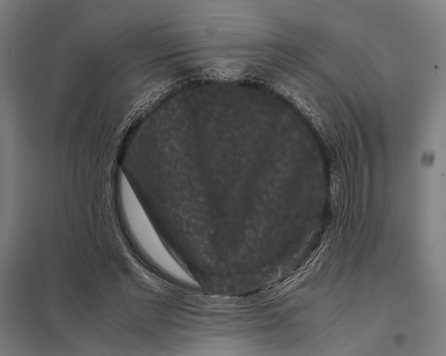 X0000097840493200803281227