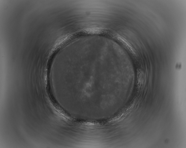 X0000097840494200803281227