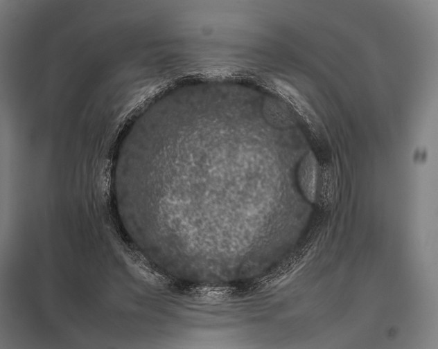 X0000097840495200803281227