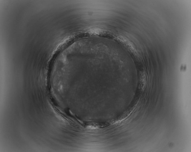 X0000097840496200803281227