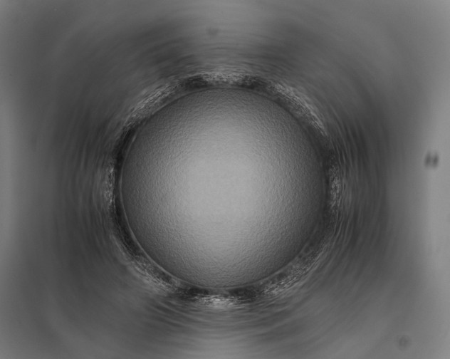 X0000097840498200803281227