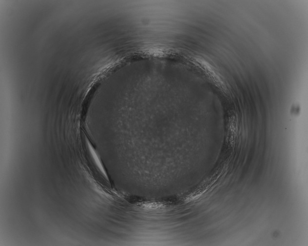 X0000097840500200803281227