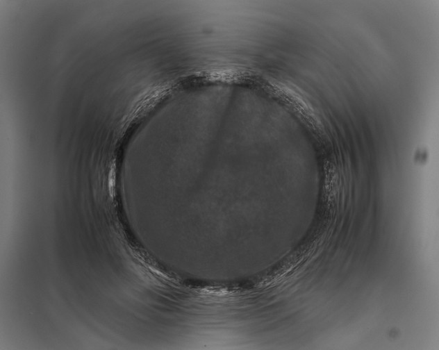 X0000097840502200803281227
