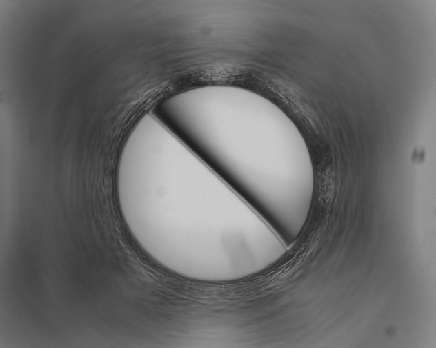 X0000097840505200803281227