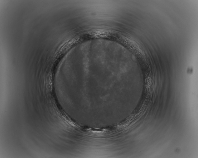X0000097840506200803281227