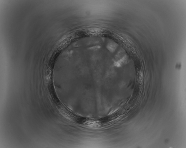 X0000097840507200803281227