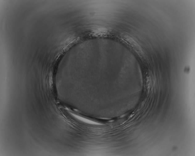 X0000097840508200803281227