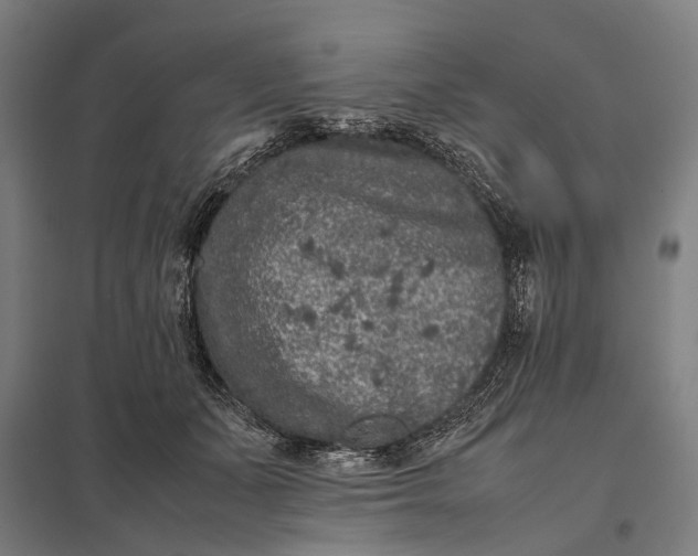 X0000097840511200803281227