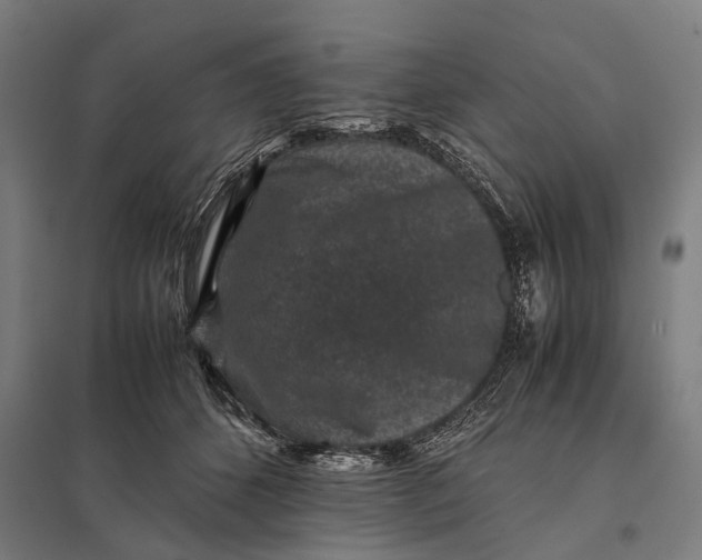 X0000097840512200803281227