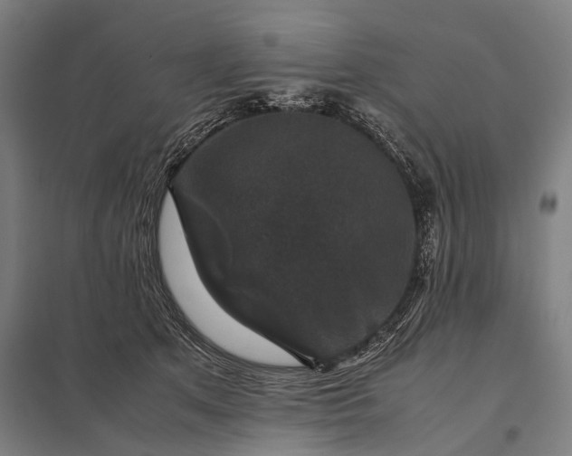 X0000097840513200803281227